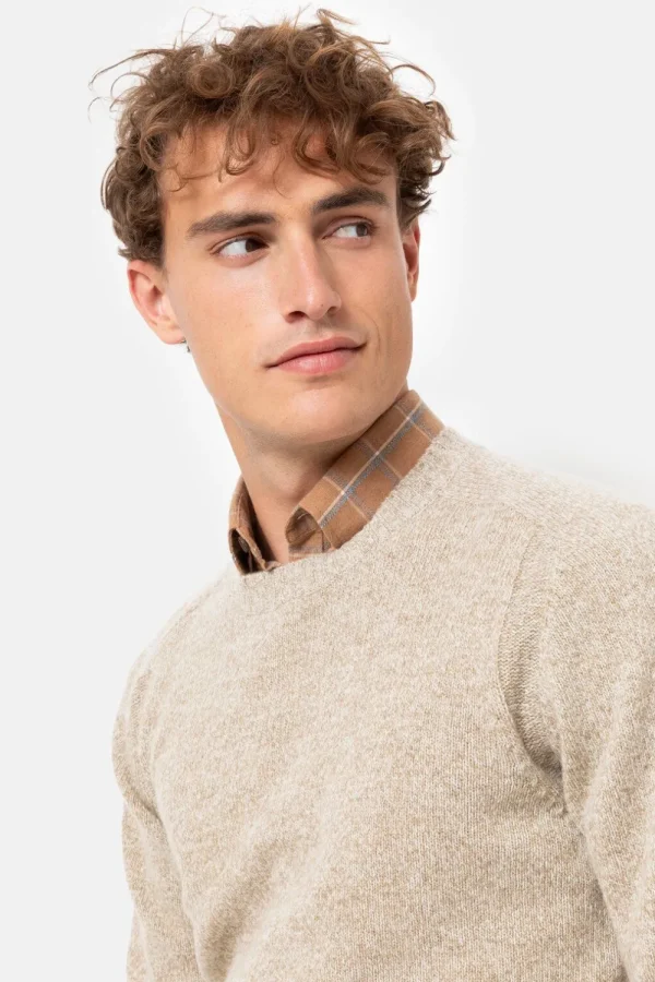Beige Heren Sweater Met Ronde Hals-Terre Bleue Best Sale