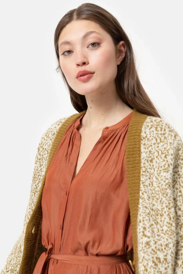 Korte Groen-Beige Cardigan Met Effen Boorden-Terre Bleue Cheap