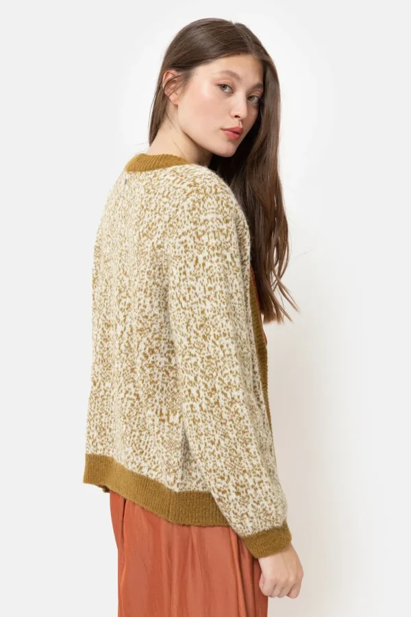 Korte Groen-Beige Cardigan Met Effen Boorden-Terre Bleue Cheap